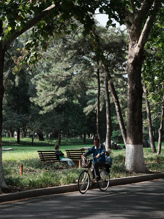 Beginner Guide to Mindful Walking: Step Into Calm and Clarity